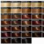 Hair Color Levels 1 10 Chart