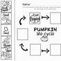 Life Cycle Of Pumpkin Worksheets
