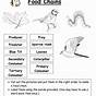Food Webs And Food Chains Worksheets
