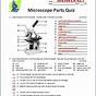 Microscope Worksheet With Answers