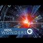 Nova Wonders What's Living In You Worksheet Answers