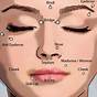 Types Of Eyebrow Piercings Chart