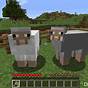 How To Breed Sheep In Minecraft