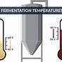 Wine Fermentation Temperature Chart