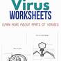 Bacteria And Viruses Worksheet Answer Key