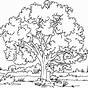 Trees Printable Coloring Pages