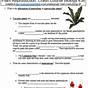 Flower Structure And Reproduction Worksheets Answer Key