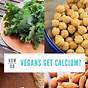 Vegan Diet Calcium Sources