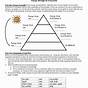 Energy Pyramid Worksheet