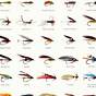 Fishing Fly Identification Chart