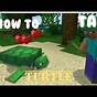 Taming Turtles Minecraft