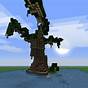 Swamp Trees Minecraft