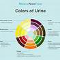 Rabbit Urine Colour Chart