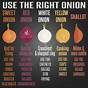 Types Of Onions Chart