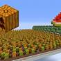 Minecraft Pumpkin Farm Layout