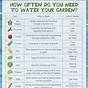 Plant Water Needs Chart