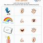 Five Senses Printable Worksheet