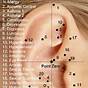 Ear Piercing Chart For Health And Acupuncture