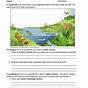 Ecology Worksheet And Reading