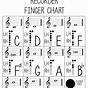 Recorder Instrument Finger Chart