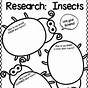 Insects Activities For First Grade