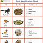 House Sparrow Bird Egg Identification Chart