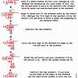 Dividing Decimals Worksheet With Answers