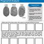 Fingerprint Basics Worksheet Answers