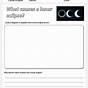 Lunar Eclipse Worksheets For Kids
