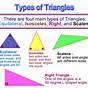 Kinds Of Triangles Grade 4