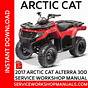 Arctic Cat 300 Manual