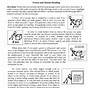 Force And Motion Worksheets With Answers