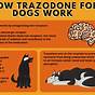 100mg Trazodone For Dogs Dosage Chart