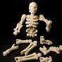 Free 3d Print Files Skeleton