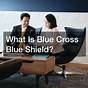 Insurance Card Blue Cross Blue Shield Hoosier Care Connect D