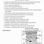 How Do Chloroplasts Capture Energy From The Sun Worksheet