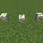 How To Make Sea Turtle Eggs Hatch In Minecraft