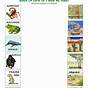 Printable Animal Habitats Worksheets