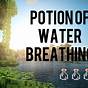 Potion Of Water Breathing In Minecraft