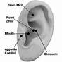 Pressure Point In Earlobe