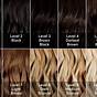 Hair Color Chart Shades