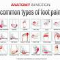 Foot Pain Diagnosis Chart
