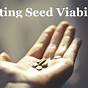 How To Check Seed Viability