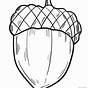 Printable Acorn Coloring Pages