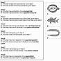 Fish Dichotomous Key Worksheets