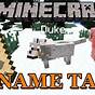 Minecraft Tags Youtube