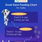 Great Dane Eating Chart