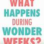 The Wonder Weeks Chart