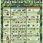 Companion Planting Vegetables Chart Pdf