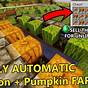 Pumpkin Farm Minecraft